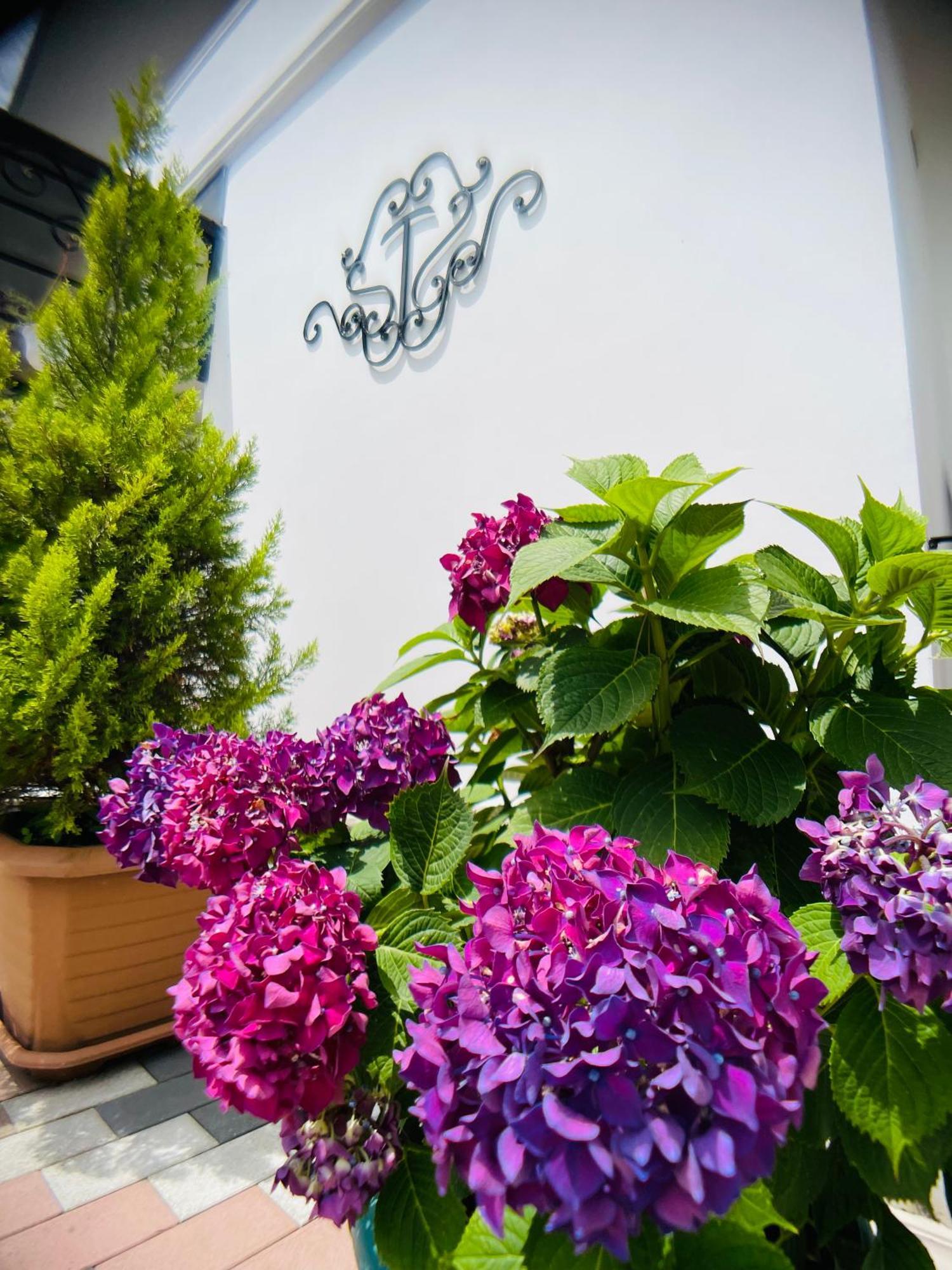 Hotel Tramonto Chakvi Exterior photo